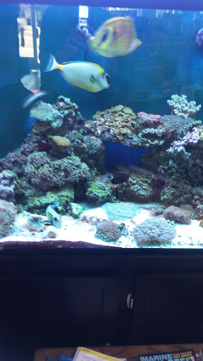 Pet Store «Fish Aquariums & Stuff», reviews and photos, 6112 W Fairview Ave, Boise, ID 83704, USA