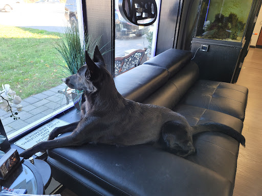 Explore cover up hand tattoo ideas, creative tattoo ideas in Keansburg, available at Attractive Tattoo New Jersey Body Jewelry Outlet