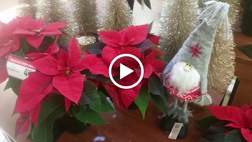 Grocery Store «Cub Foods», reviews and photos, 2423 MN-3, Northfield, MN 55057, USA