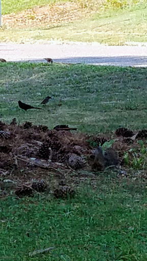 Pet Supply Store «Petco Animal Supplies», reviews and photos, 1540 Eastern Blvd, Montgomery, AL 36117, USA