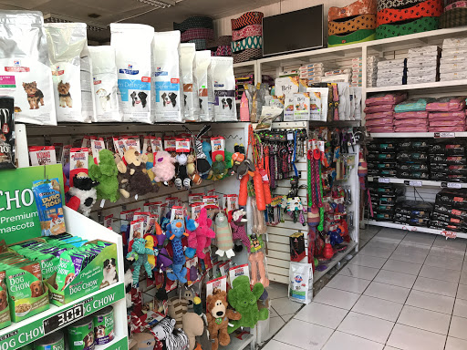 Tienda animales exoticos Arequipa