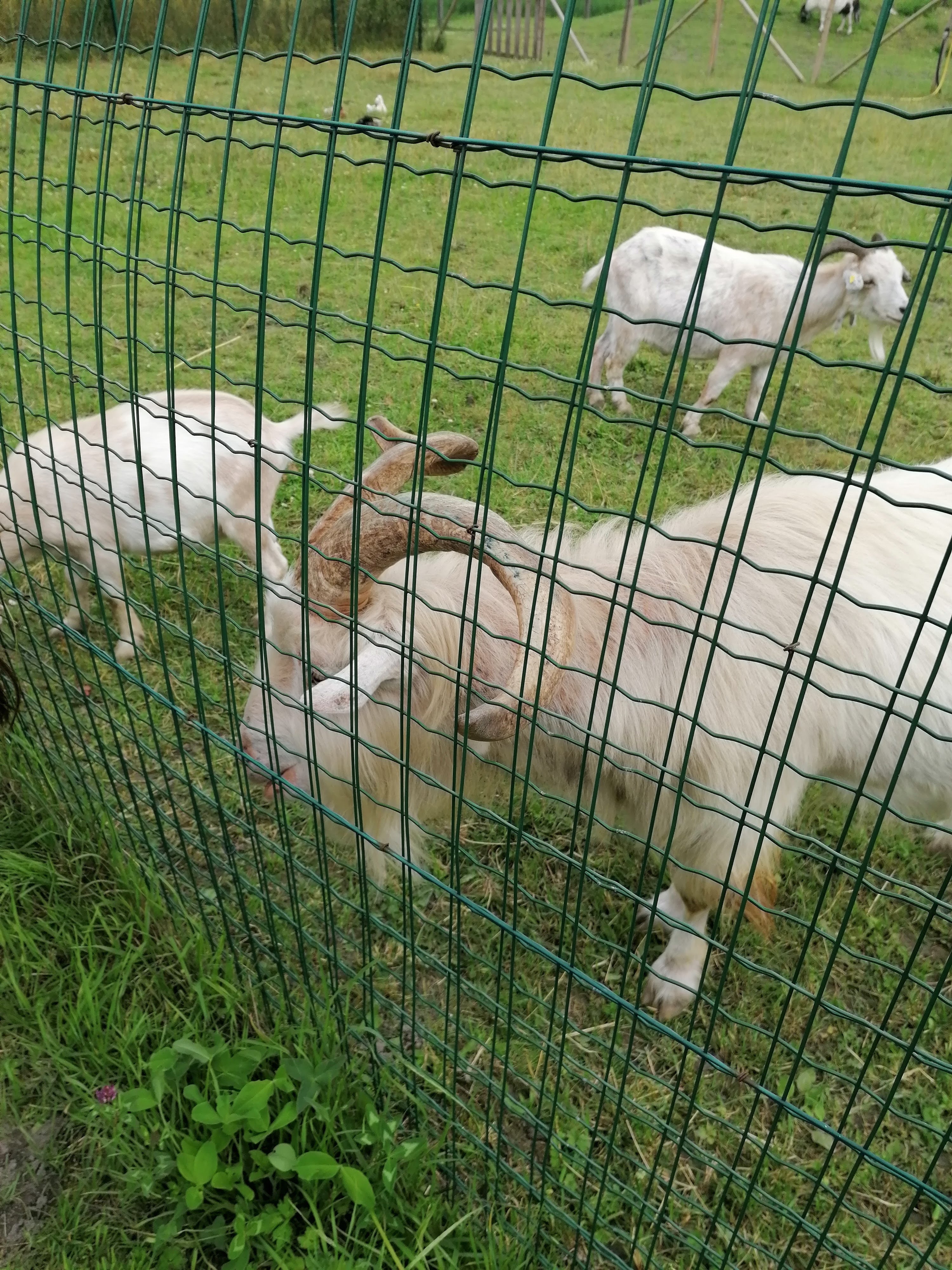 Photo n° 2 de l'avis de Caro.a fait le 14/07/2021 à 18:12