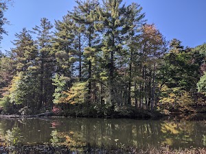 Spencer State Forest - photo 79