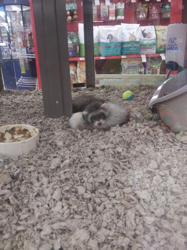 Pet Supply Store «Petco Animal Supplies», reviews and photos, 85 State St, Orem, UT 84058, USA