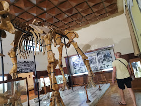 Палеонтологичният музей