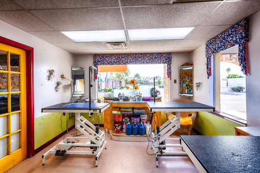 Raining Cats & Dogs Grooming Salon