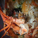 Photo n°5 de l'avis de Tammi.a fait le 02/11/2023 à 21:58 sur le  Ciro and Sons - Restaurant Pizzeria Firenze à Florence