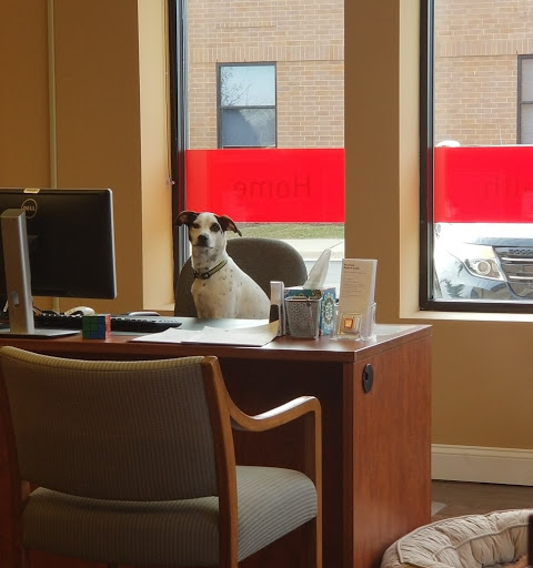 Insurance Agency «Dan Tice - State Farm Insurance Agent», reviews and photos