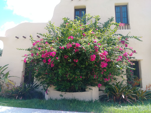 Golf Club «Miami Springs Golf & Country Club», reviews and photos, 650 Curtiss Pkwy, Miami Springs, FL 33166, USA