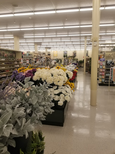 Craft Store «Hobby Lobby», reviews and photos, 3483 Thomasville Rd, Tallahassee, FL 32309, USA