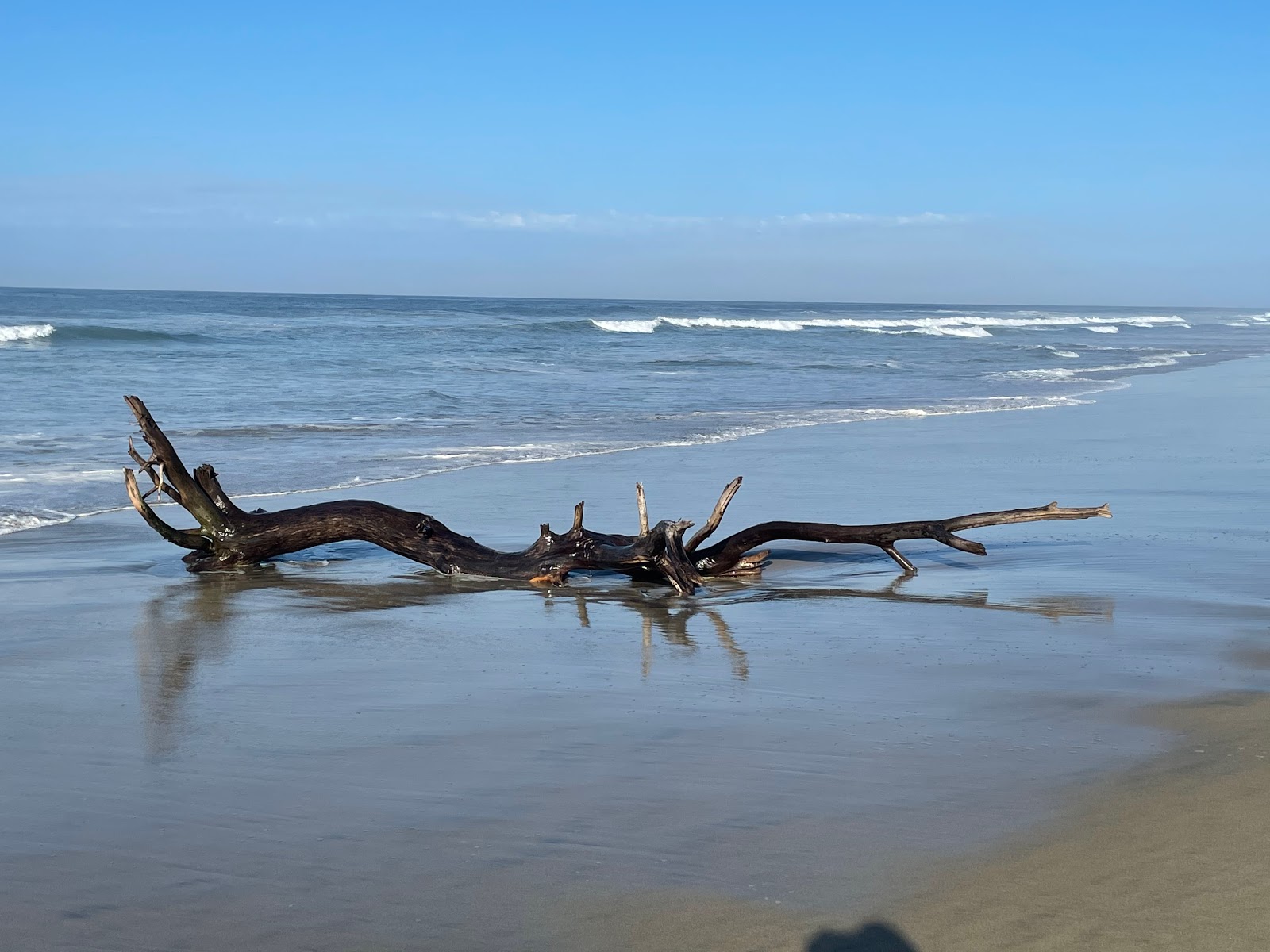 Foto di Playa El Tomatal con costa lunga e dritta