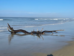 Foto di Playa El Tomatal con costa lunga e dritta