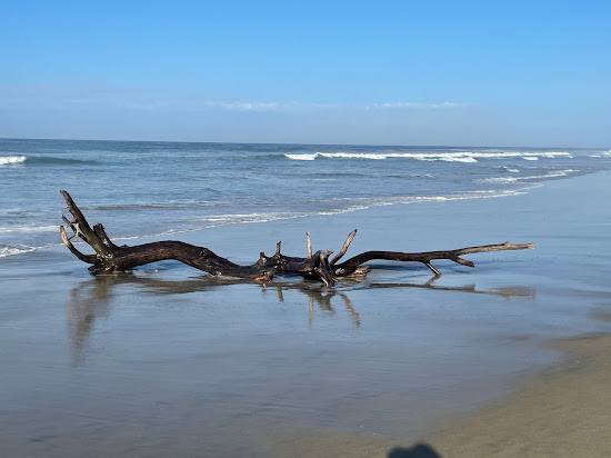 Playa El Tomatal