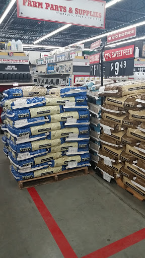 Home Improvement Store «Tractor Supply Co.», reviews and photos, 890 State Rte 415, Osteen, FL 32764, USA