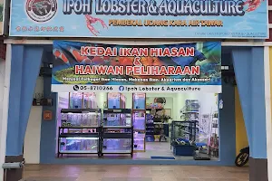 Ipoh Lobster & Aquaculture image