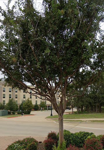 Recreation Center «Roanoke Recreation Center», reviews and photos, 501 Roanoke Rd, Roanoke, TX 76262, USA