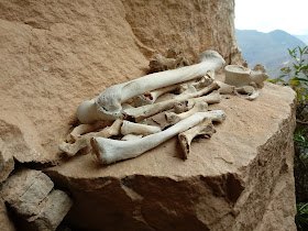 Mirador Pueblo De Los Muertos