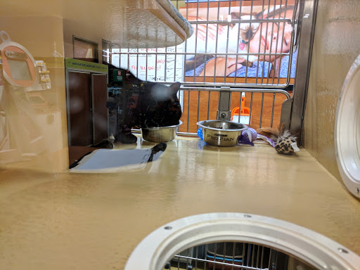 Pet Supply Store «PetSmart», reviews and photos, 132 NJ-31, Flemington, NJ 08822, USA