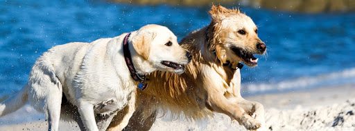 4263 Birch St, Newport Beach, CA 92660, USA