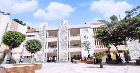 كلية التجارة وإدارة الاعمال جامعة حلوان بالزمالك