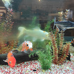 Photo n°14 de l'avis de SILVIA-.U fait le 21/11/2021 à 20:49 sur le  La Bussola di Colombo à Milan