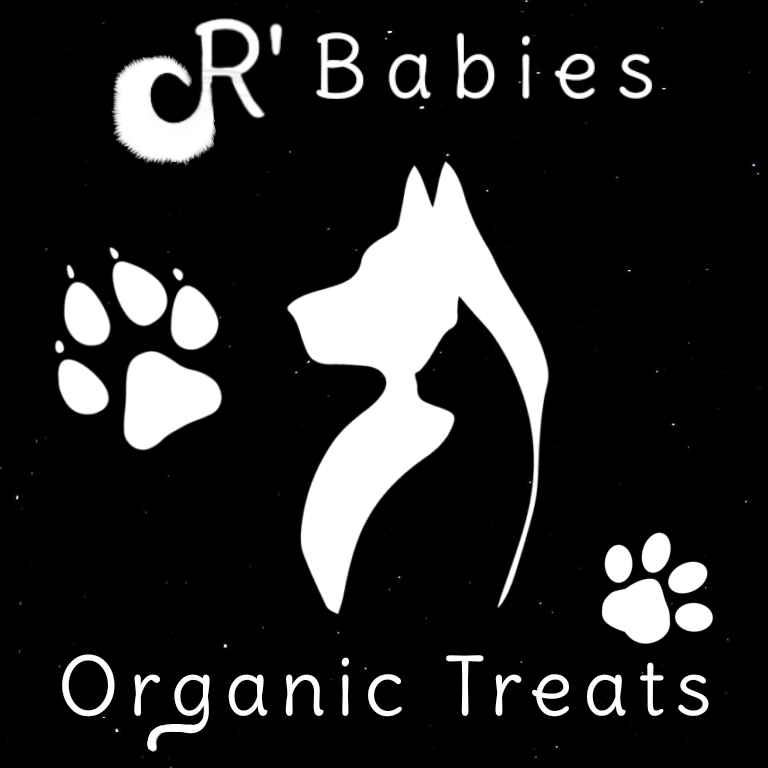 R-Babies Organic Treats