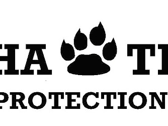 Alpha Team Protection GmbH (ATP Security)