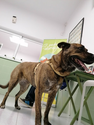 Centro Veterinario San Bartolome en San Bartolomé