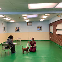 Maple Hills Veterinary Hospital - Photo 4 - Car repair in Allentown, PA, Allentown