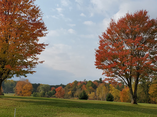 Golf Course «Arcadia Hills Golf Course», reviews and photos, 3801 Haines Rd, Attica, MI 48412, USA