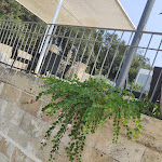 Photo n°20 de l'avis de Paola.i fait le 29/08/2023 à 23:20 sur le  ViverÈ Resort à Presicce-Acquarica