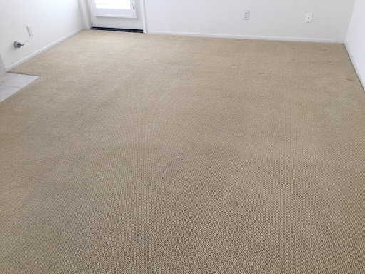 GC Carpet Tile and Grout Cleaning