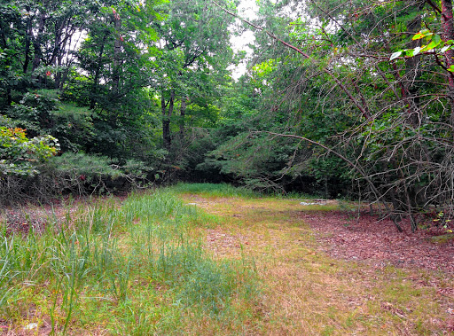 Park «Smith Lake Park», reviews and photos, 370 Doc Stone Rd, Stafford, VA 22556, USA