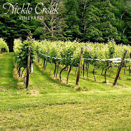 Vineyard «Nickle Creek Vineyard», reviews and photos, 12 King Rd, Foster, RI 02825, USA