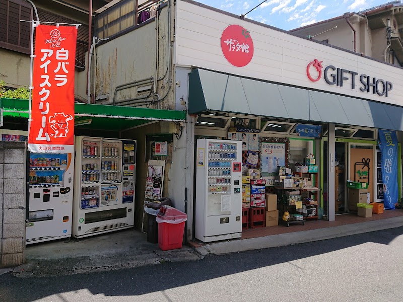 シャディサラダ館 東大阪新庄店