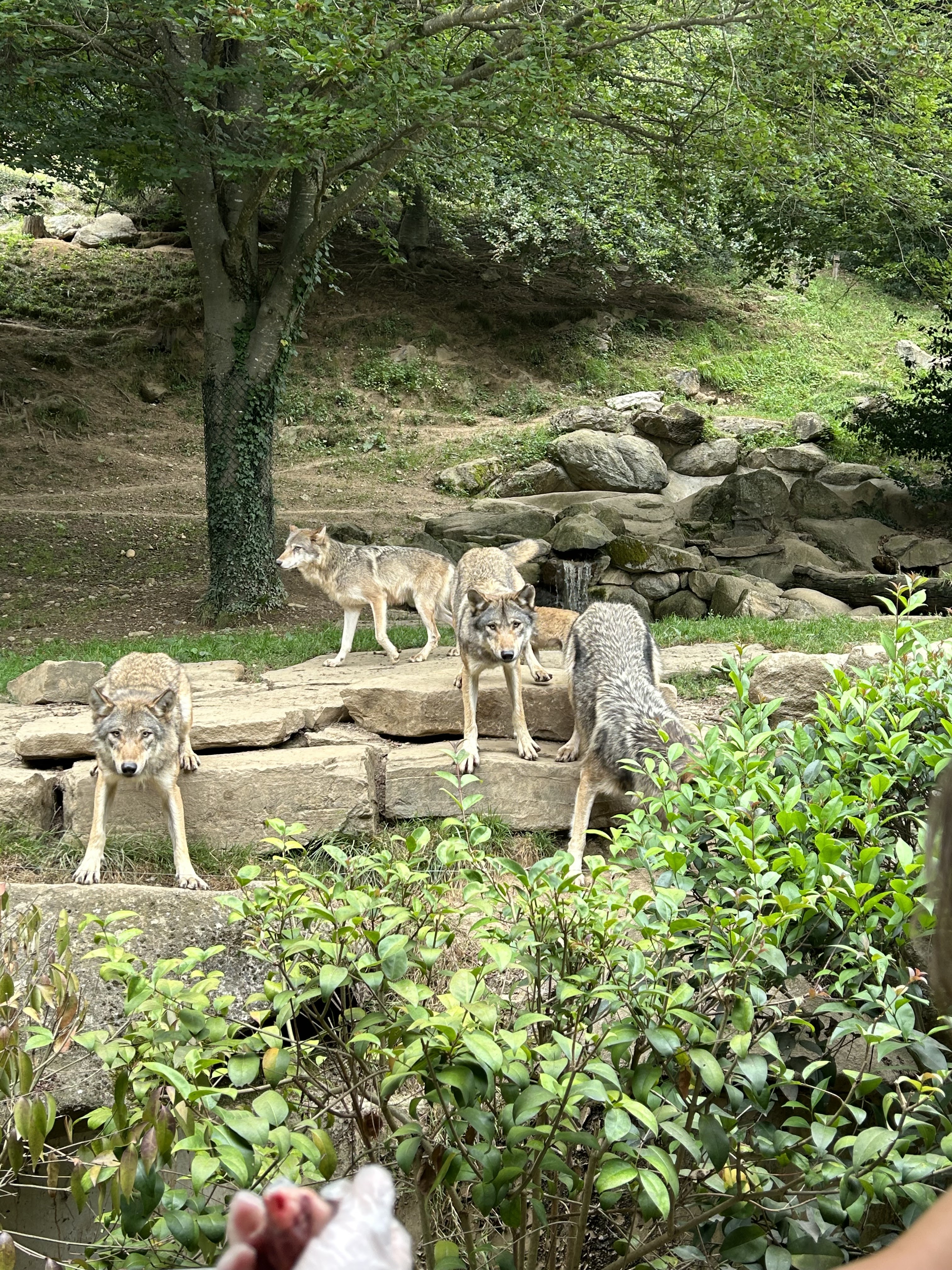 Photo n° 1 de l'avis de Aurélie.e fait le 30/07/2023 à 19:08