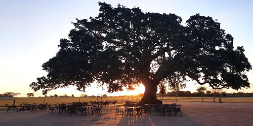 Convention Center «Floresville Event Center», reviews and photos, 600 TX-97, Floresville, TX 78114, USA