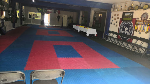 Escuela de jujitsu Mérida