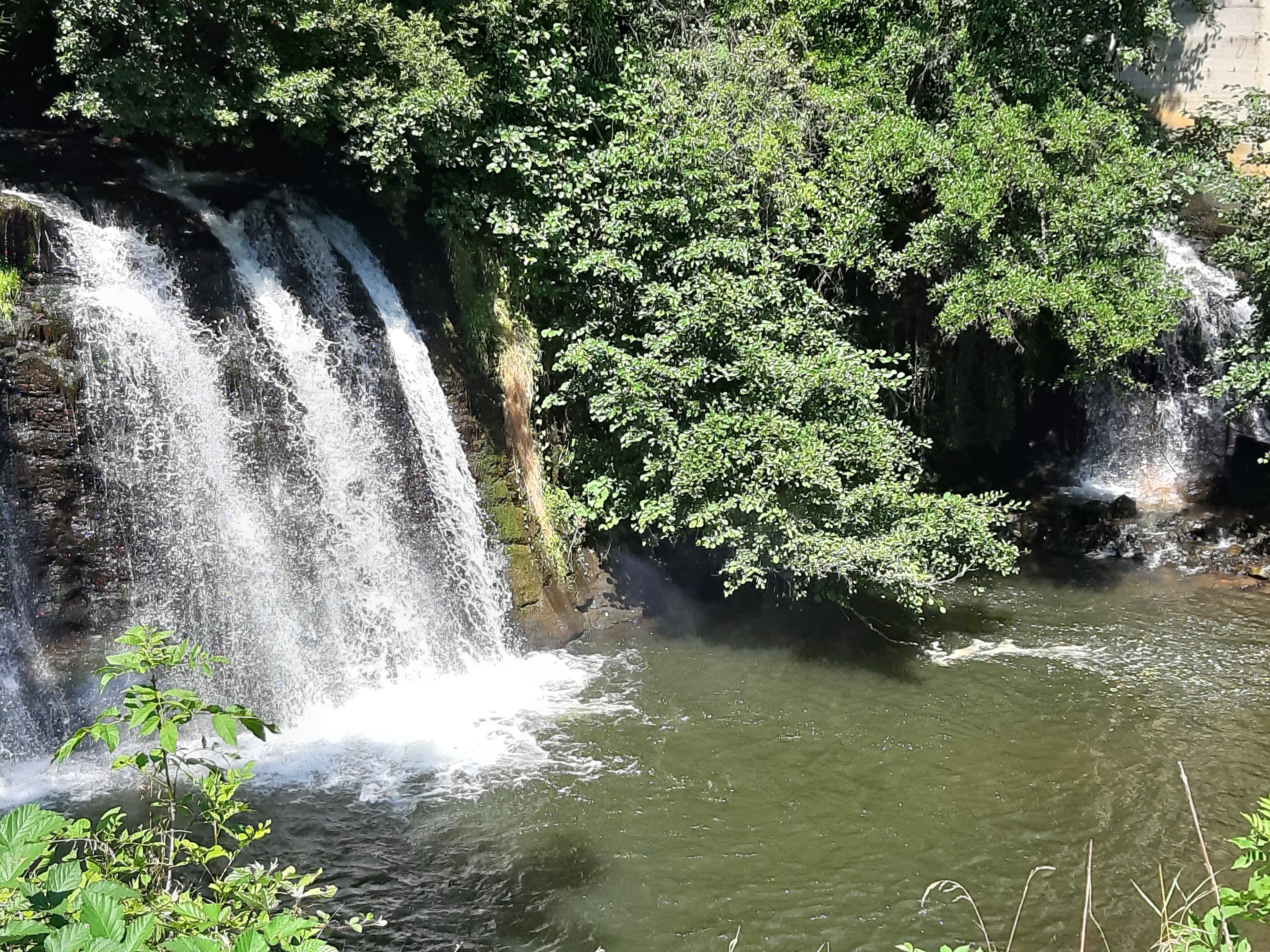 Photo n° 6 de l'avis de Nathalie.o fait le 18/08/2019 à 16:02