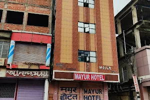 Hotel Mayur image