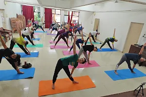 Yoga classes offline and online image