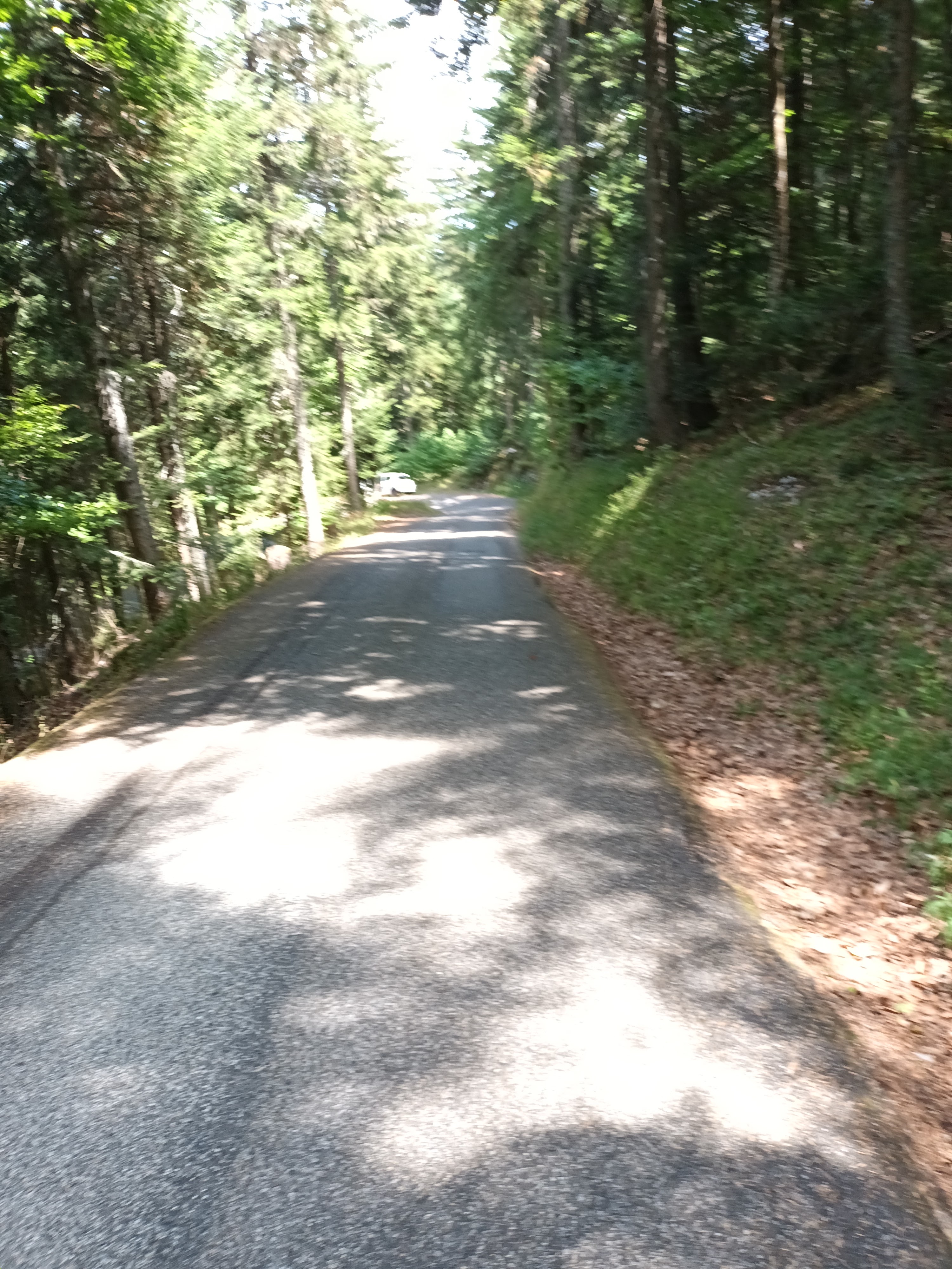Photo n° 1 de l'avis de Frederique.o fait le 01/08/2022 à 15:52