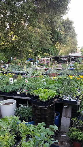Garden Center «Ladera Garden & Gifts», reviews and photos, 3130 Alpine Rd #380, Portola Valley, CA 94028, USA