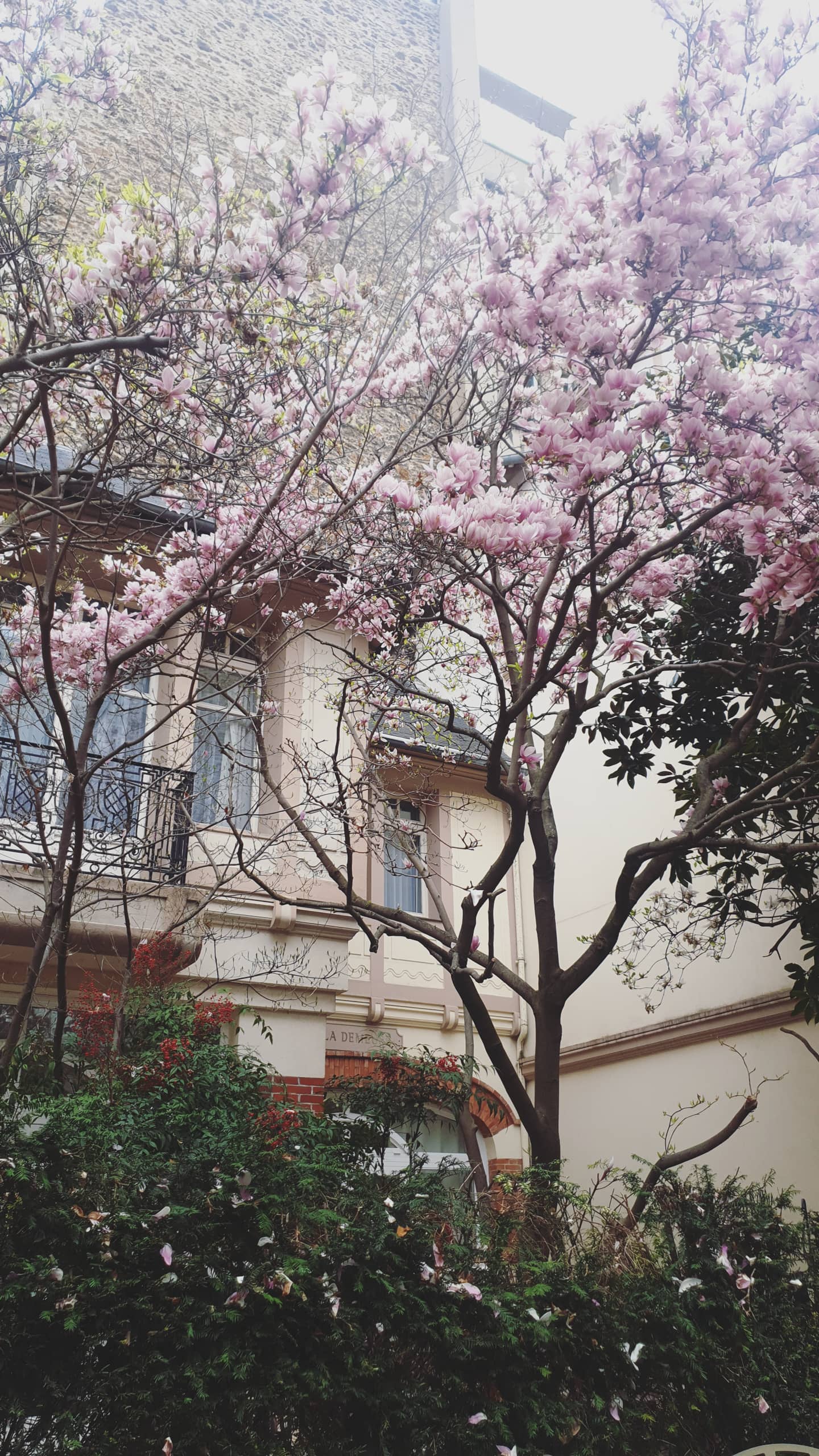 Photo n° 22 de l'avis de Marie-Anne.o fait le 27/03/2021 à 18:44