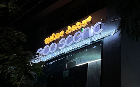 EcoScenic Nature Aquarium And Aquascaping Gallery image