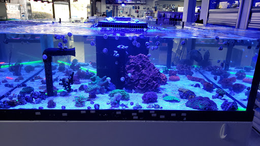 Tropical Fish Store «LE Corals Saltwater Aquarium Showroom», reviews and photos, 3414 S 48th St #2, Phoenix, AZ 85040, USA
