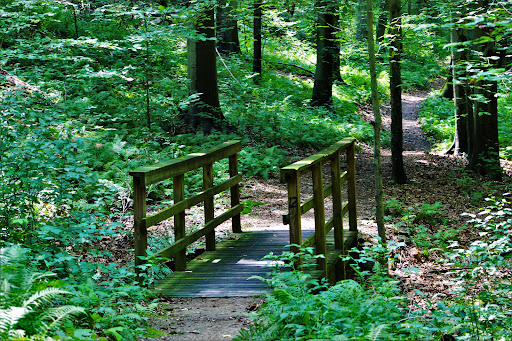 Nature Preserve «White Clay Creek Preserve», reviews and photos, 404 Sharpless Rd, Landenberg, PA 19350, USA