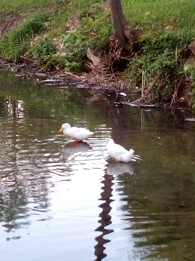 Art Museum «Richmond Art Museum», reviews and photos, 350 Hub Etchison Pkwy, Richmond, IN 47374, USA