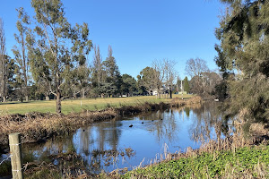 Goulburn Wetlands