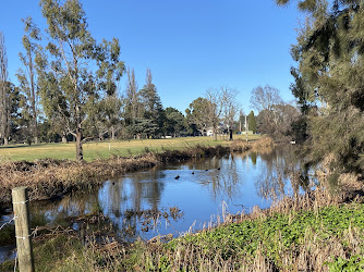 Goulburn Wetlands